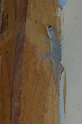 IMGP4847_2