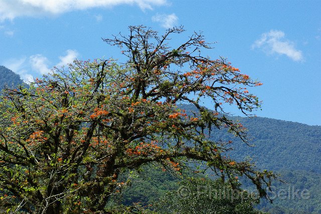 IMGP5445_2.jpg - Tapanti NP