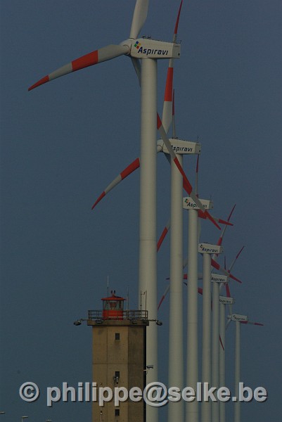 IMGP0986.JPG - Eoliennes dans le port de Zeebrugge