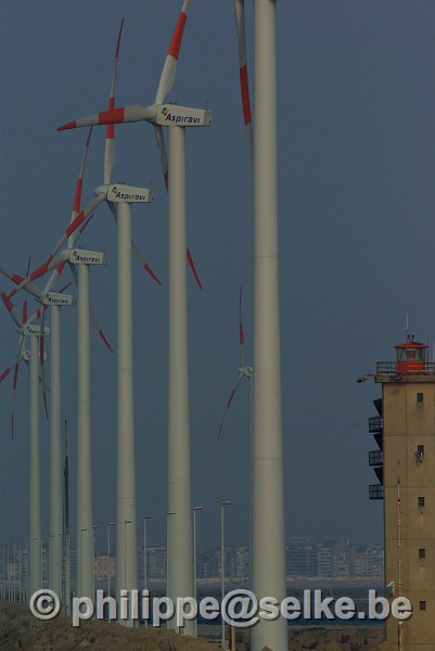 IMGP0988.JPG - Eoliennes dans le port de Zeebrugge