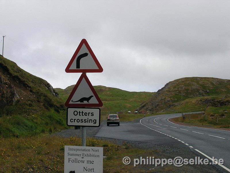 P7100029.JPG - Les loutres ont droit à leur propre panneau - Shetland (UK)