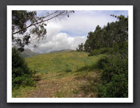 Ecuador 2006 - 35