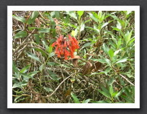 Ecuador 2006 - 38