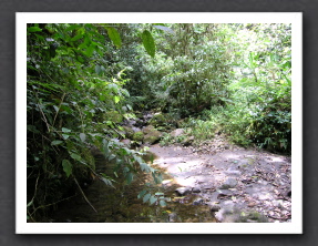 Ecuador 2006 - 325