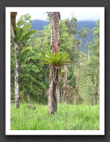 Ecuador 2006 - 373