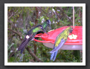 Ecuador 2006 - 191