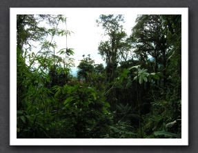 Ecuador 2006 - 288