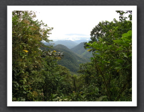 Ecuador 2006 - 299